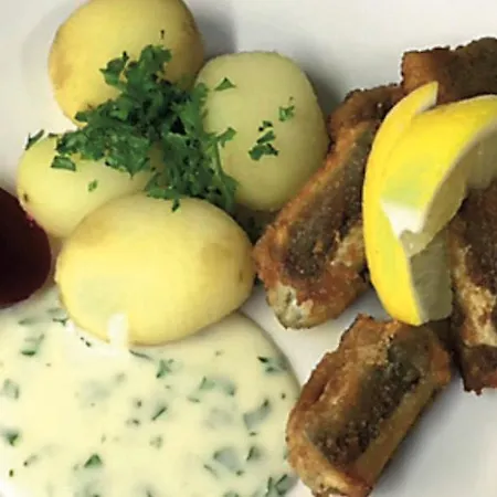 Fogadó Den Gamle Digegaard *