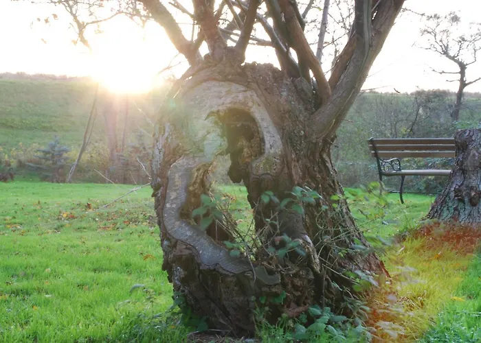 Den Gamle Digegaard *