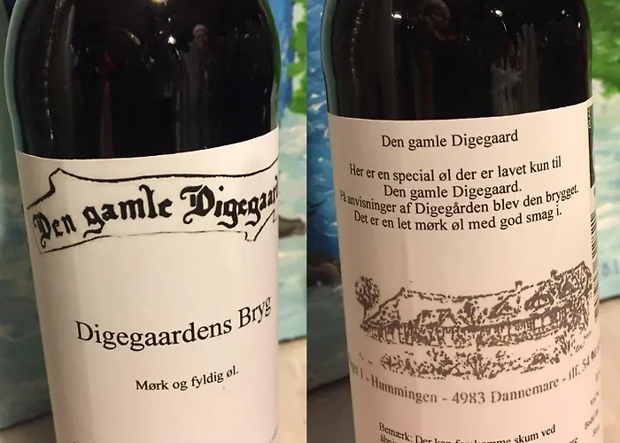 Den Gamle Digegaard イン